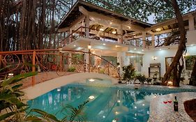 Vibes Inn Singing Tree